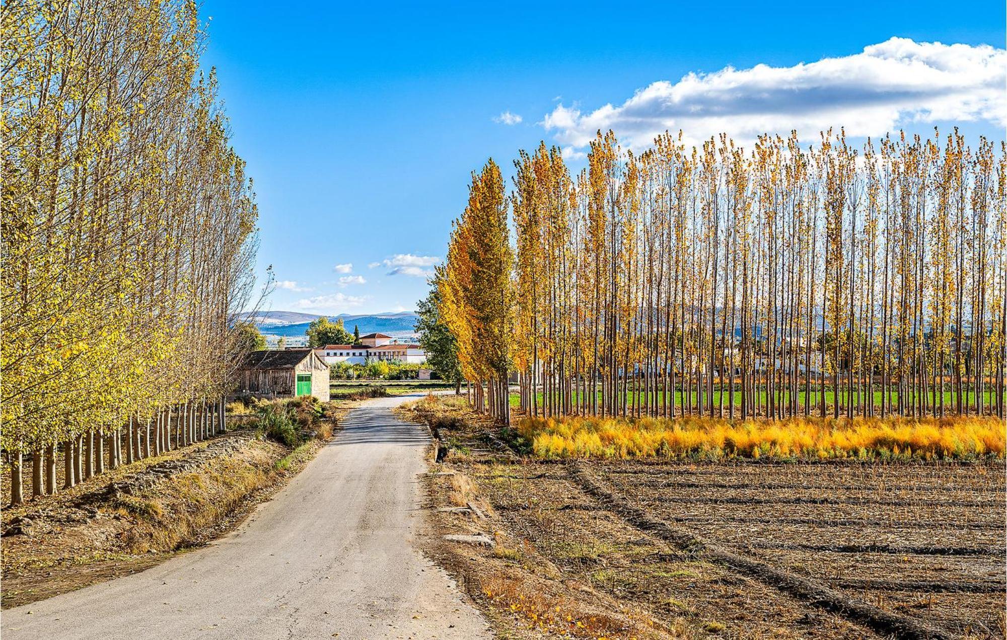 Stunning Air Conditioned House Cijuela エクステリア 写真